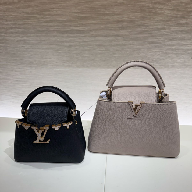 Louis Vuitton capucines Medium bag